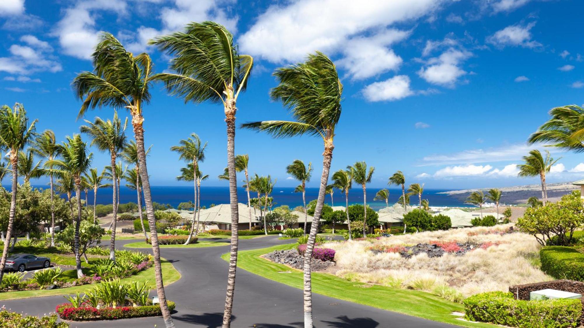 Ocean Palsm Villa Refined 3Br Waiulaula Home With Stunning Ocean Views Hapuna Beach Exterior photo